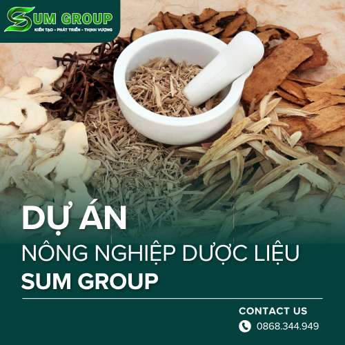 DỰ ÁN nông nghiệp dược liệu